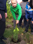 0-02-05-54b9bfd893053282382f87ba2448106123d5ab641f26aa24d82f20932bfec155_5c8d6635