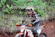 IMG-6337
