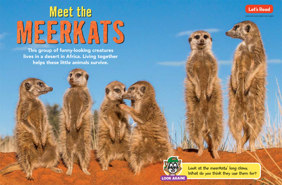 Vítejte u surikat / Meet the Meerkats (2021) / CZ