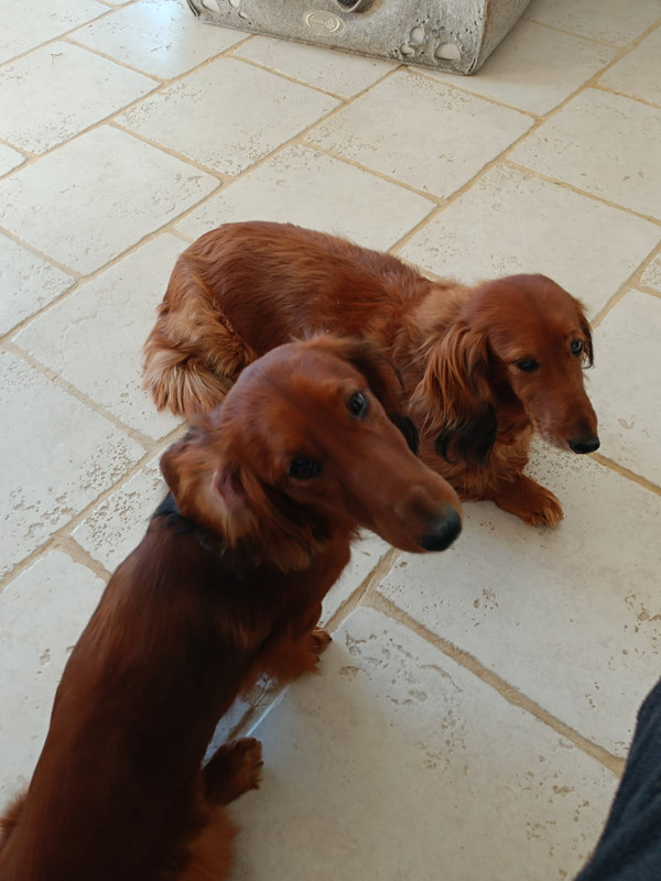 [Image: IMG-20250409-094735.jpg]