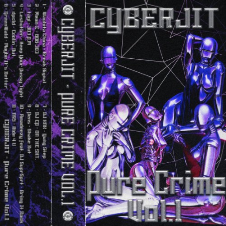 3cbe31d3 c439 4562 8f63 d5c6533f2e02 - V.A. - Pure Crime vol.1 (2019)