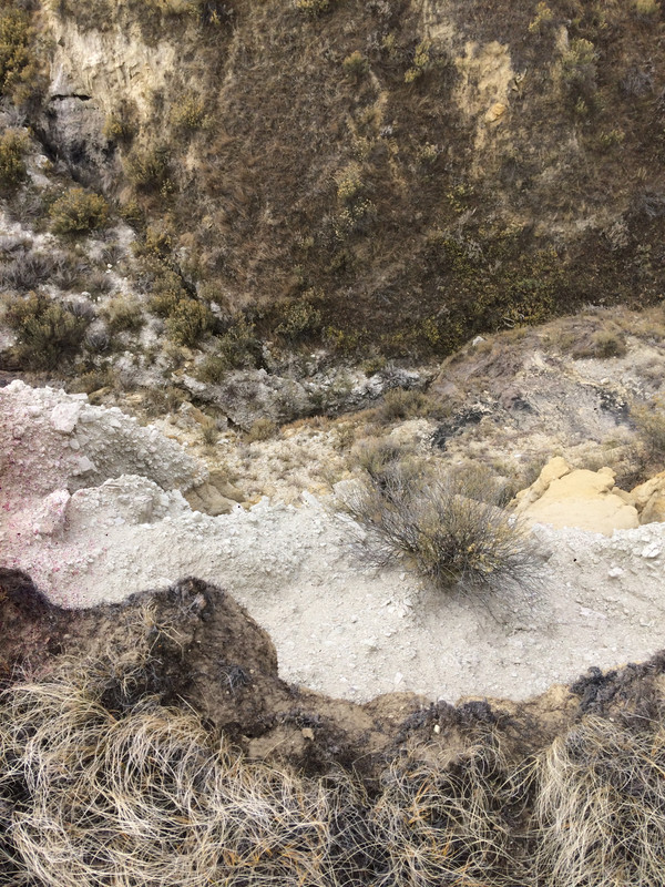 5B9B0F2C-67D3-45AF-8C26-1B5F78003F7F