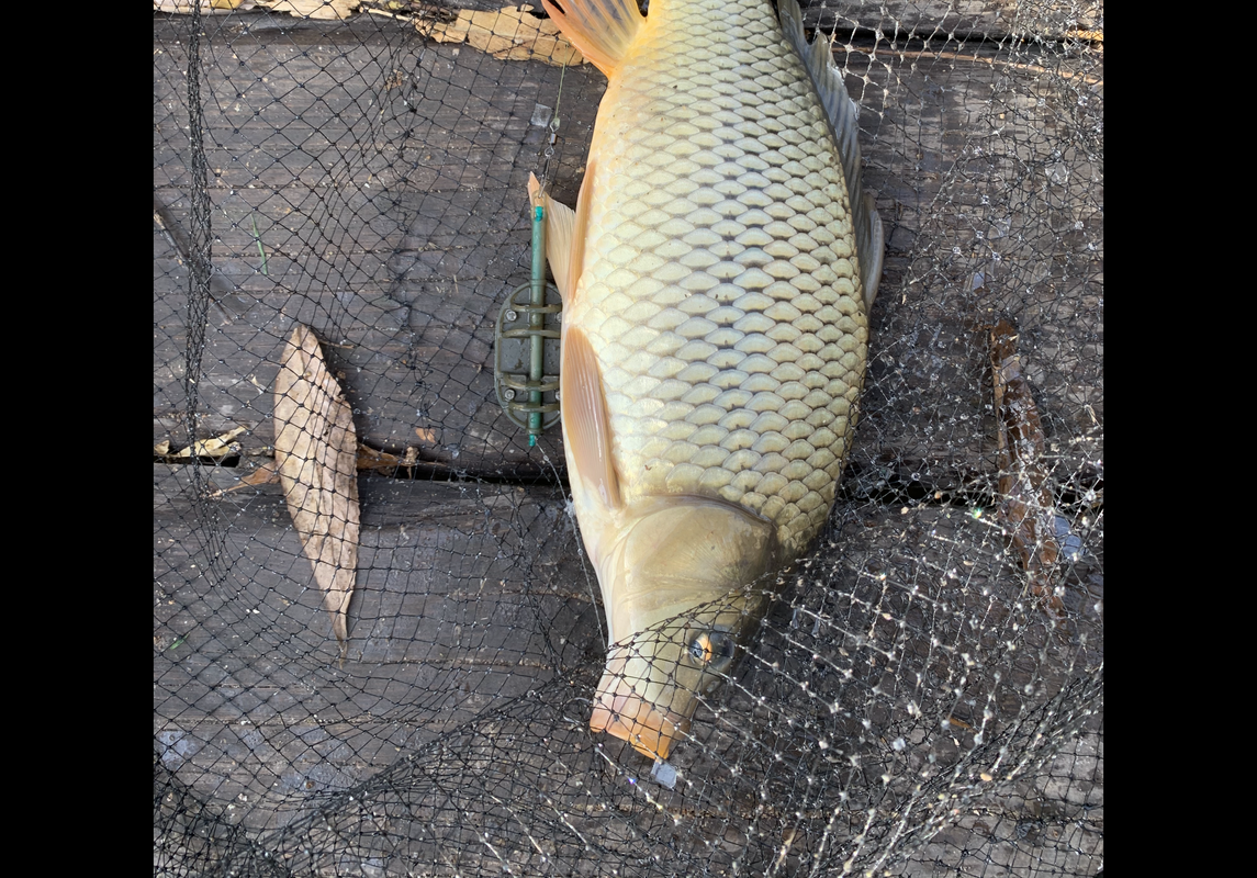 72D9EA3C-75ED-40E1-A086-631CC49EAB23