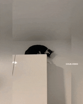095.gif