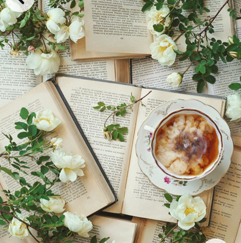 Screenshot_20221227_005448_Chrome