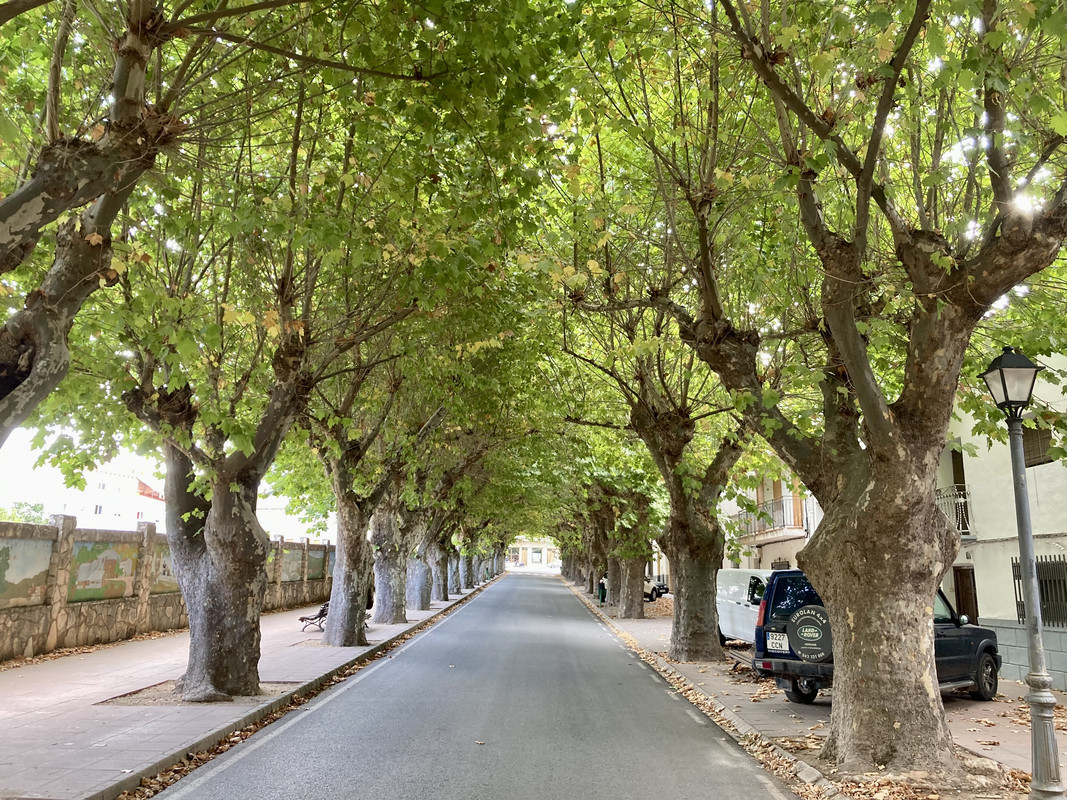 A3ADE50D-A0EE-45BA-8C14-2FB11944CD02