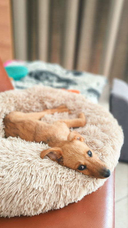 Lumii_20250505_112848288