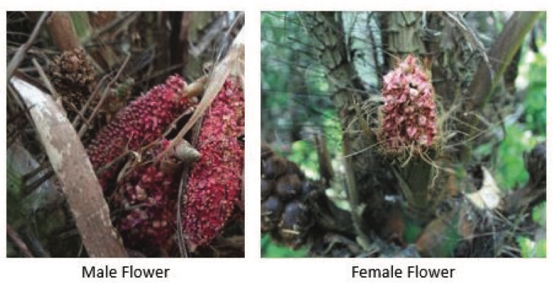 A40E9810-35BA-499A-AB1B-D6CE59656AA7