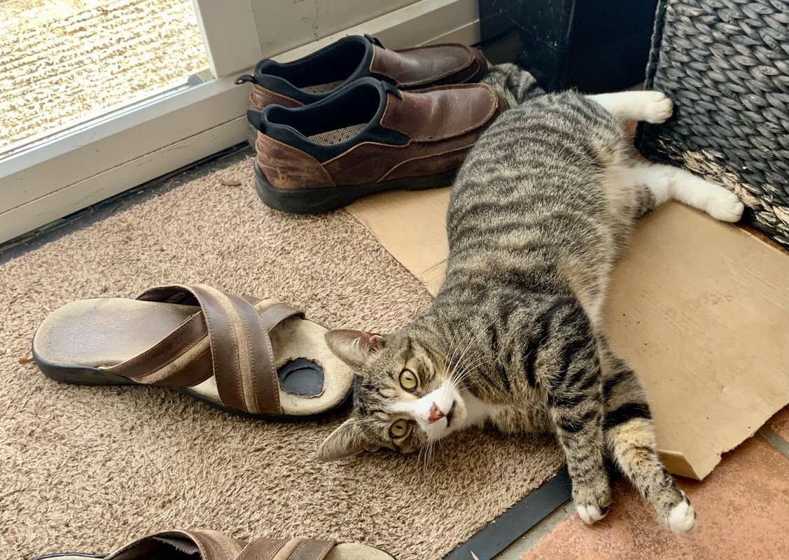 6A497785-5152-46F2-816A-833E19B1E713