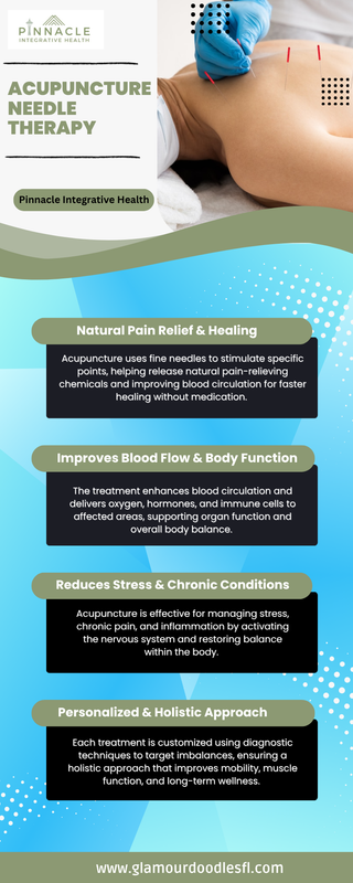 Benefits of Acupuncture Needle Therapy for Holistic Health