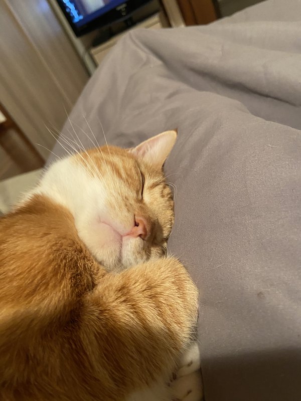 7956B769-9853-415E-985B-8D6BBB890F61