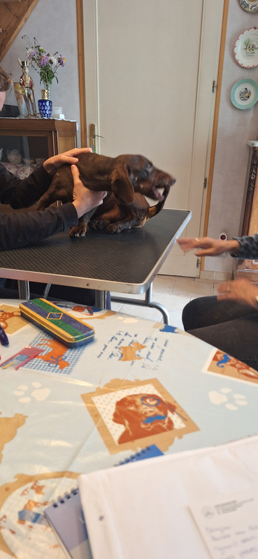 [Image: 20251002-172138.jpg]