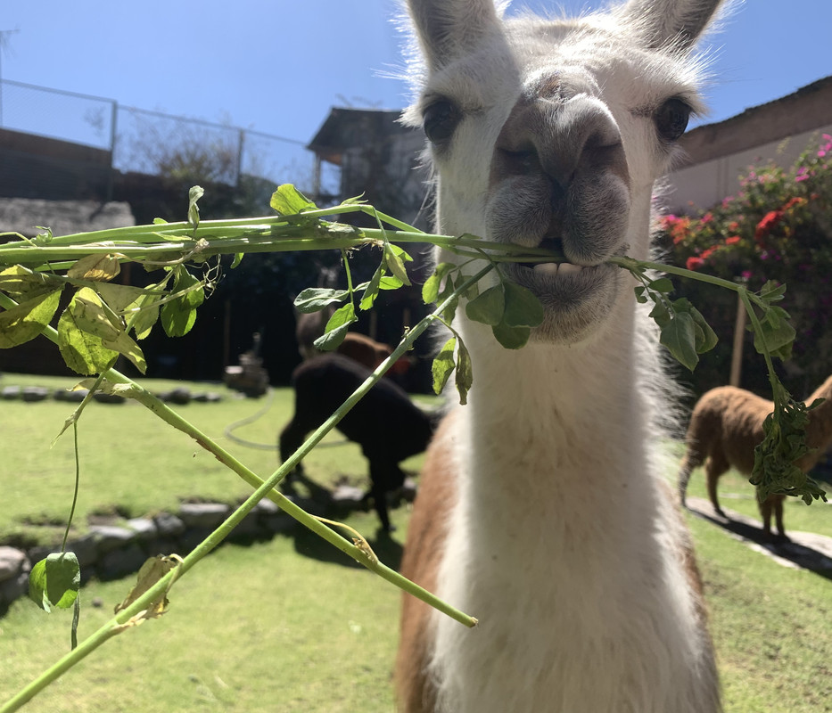 07055506-2E86-483F-B441-EA7E95C2B413