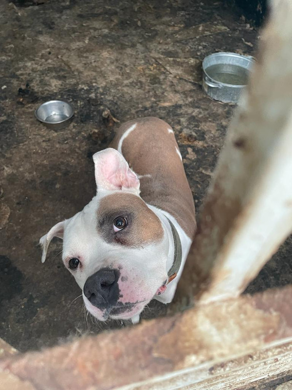 522D87C3-DE77-4DBB-ABB3-BDD729C546B1