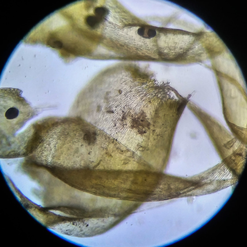 IMG 20250614 204348 HDR