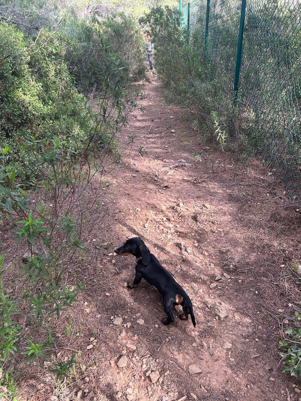 [Image: IMG-20241021-WA0004.jpg]