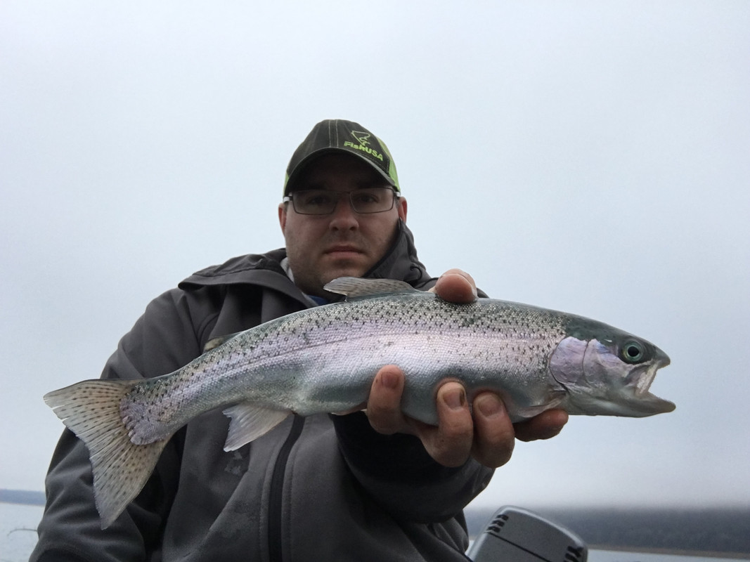 9F7791F7-73B4-4EA0-BB76-1349982D8325