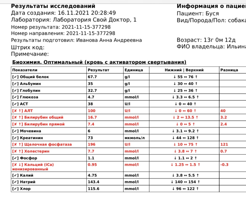 6510426C-B797-448E-86A0-0C6815C2541E