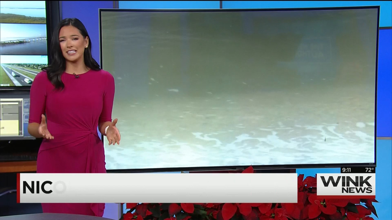 12.05 - 14.00.00 - WINK News @ 9 00AM..ts_snapshot_14.34.465