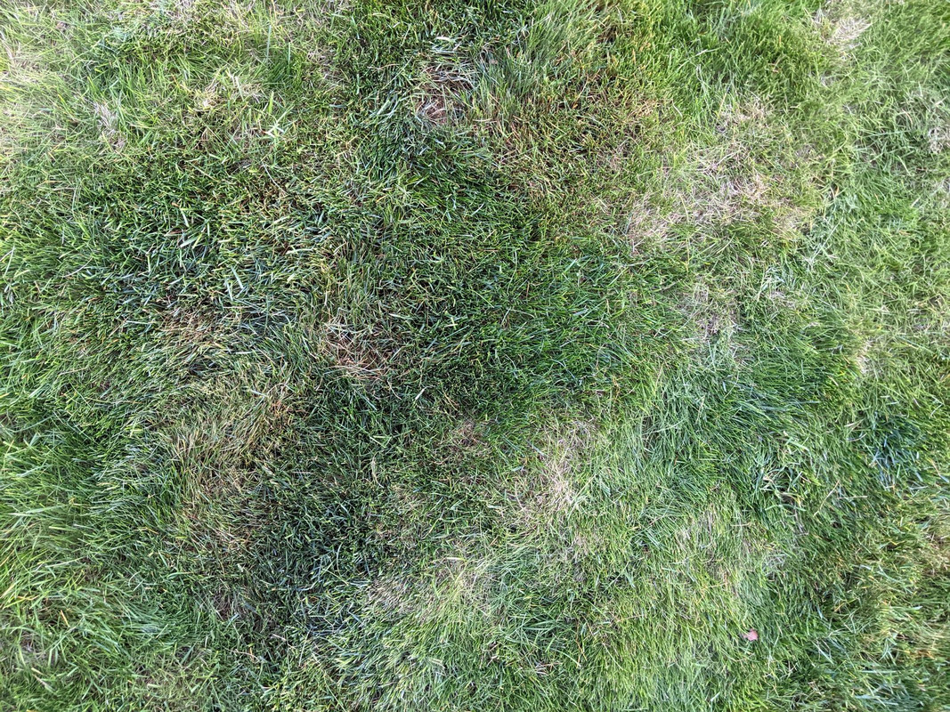 PXL_20210528_032525745