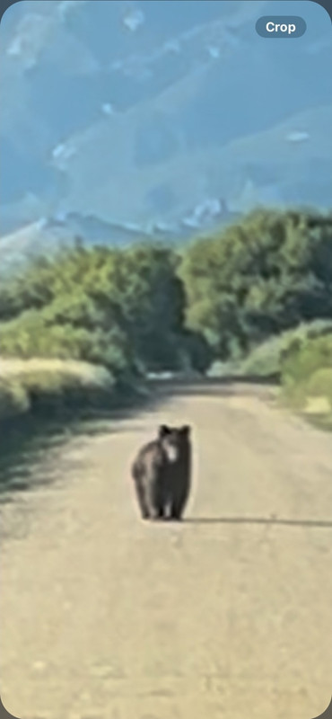 Screenshot_20250903_222150_Messages