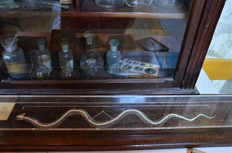 Rumanía y sus pueblos-2015 - Blogs de Rumania - Sighișoara-8-8-2015 (44)