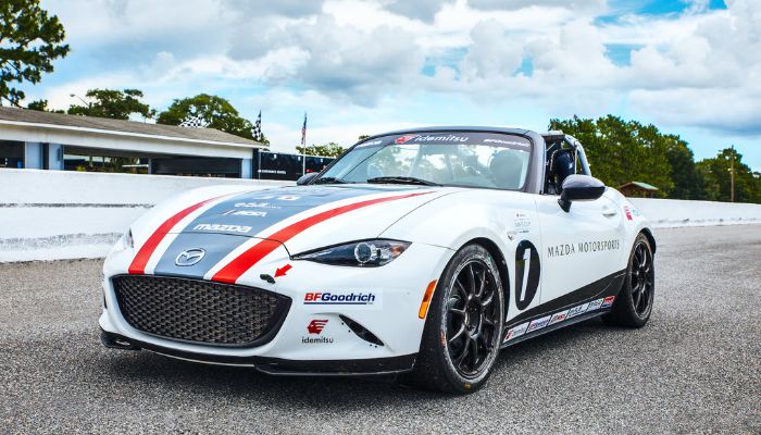 Best Rally Cars in the World 