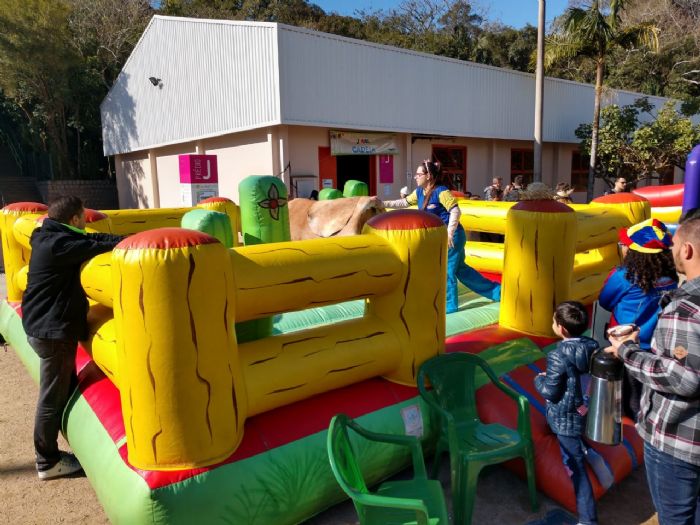 Touro Mecânico Luxo - Foto 2