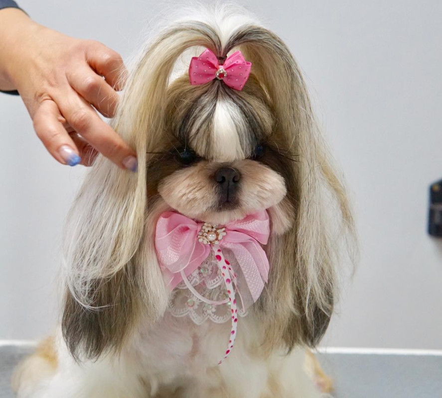 D588F02C-E432-4386-A741-EDFC5DE411BC