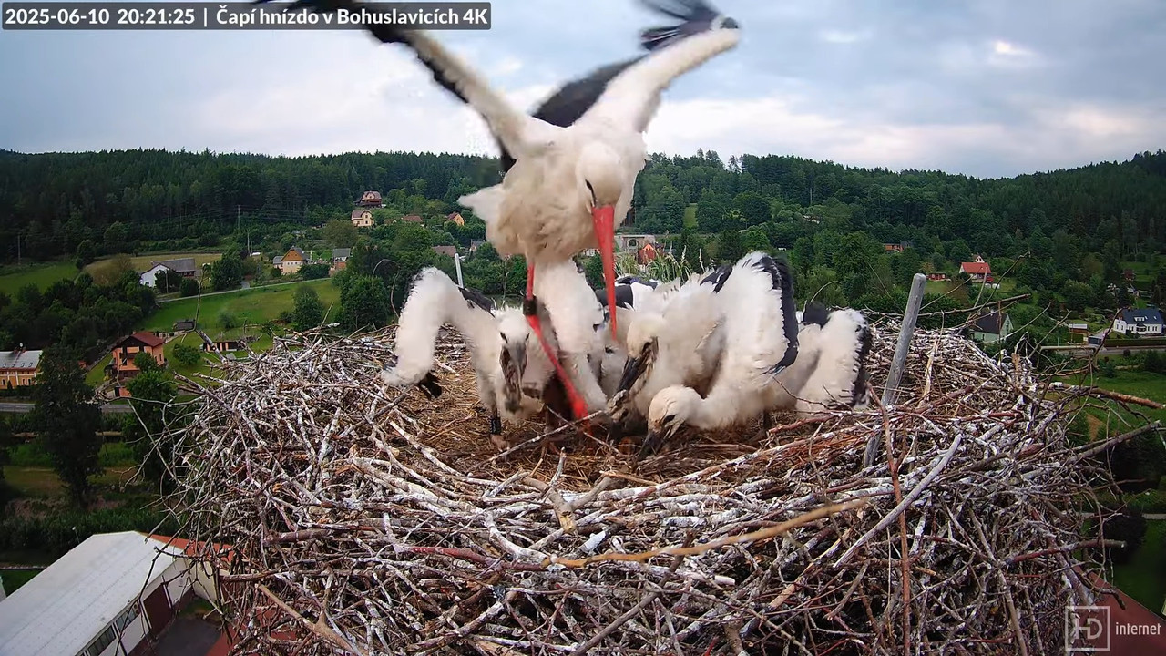 Tiešraide no KARA uzņēmuma stārķu skursteņa Bohuslavicē netālu no Trutnovas 17-27-45 screenshot (1)