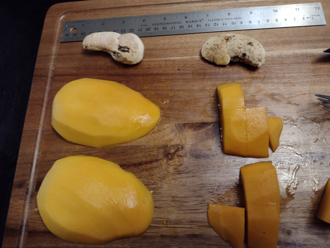 IMG_20210602_193006629