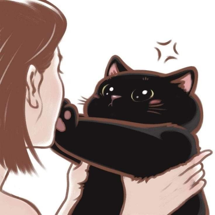 06500b91fce4190de932f29e0ca27154