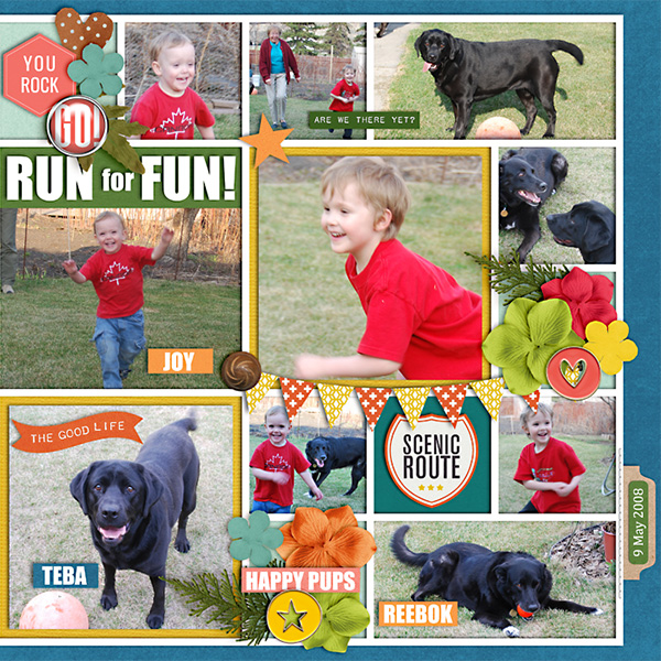 run2008-web-right.jpg