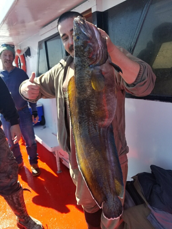 7A0FF9B0-7E65-4E77-A6DE-A43D2FE5C17A