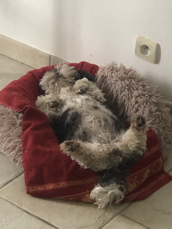 [Image: IMG-2353.jpg]