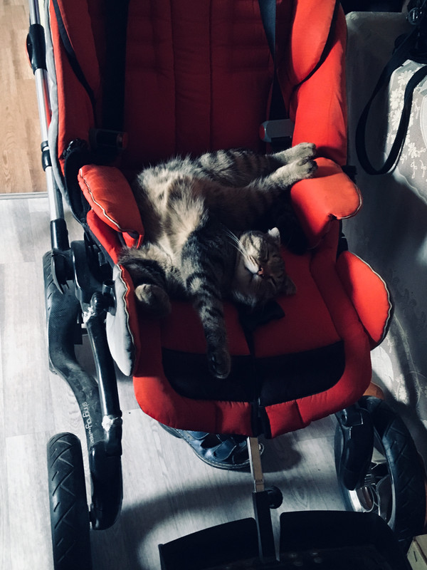 4967C00A-B2AA-425E-8431-AC653E108953