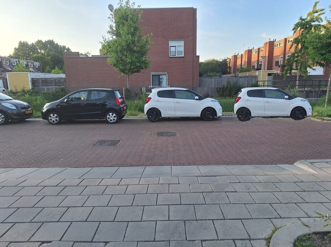 908d74dc-eded-4631-843e-ac8416f344d8.jpg