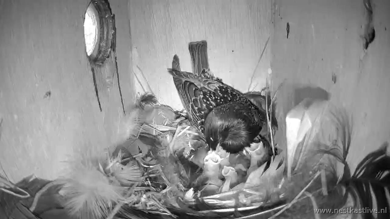 snapshot 2026 04 18T185019 242