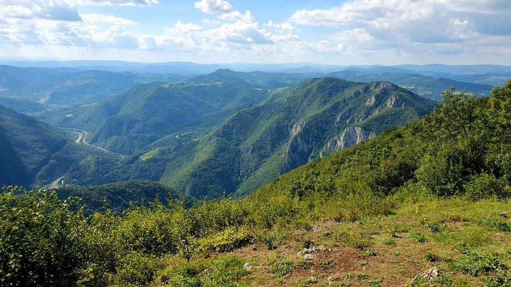 Slika