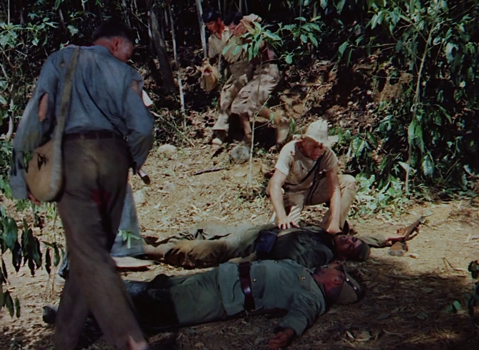 vlcsnap-2017-07-27-14h53m37s409