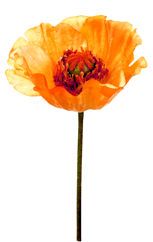 IPD_WP_Element (168)