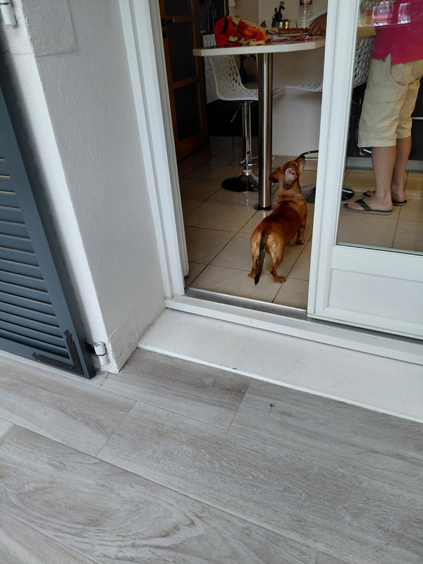 [Image: IMG-20250718-134145.jpg]