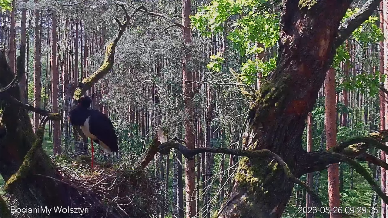 Zrzut ekranu (14098)