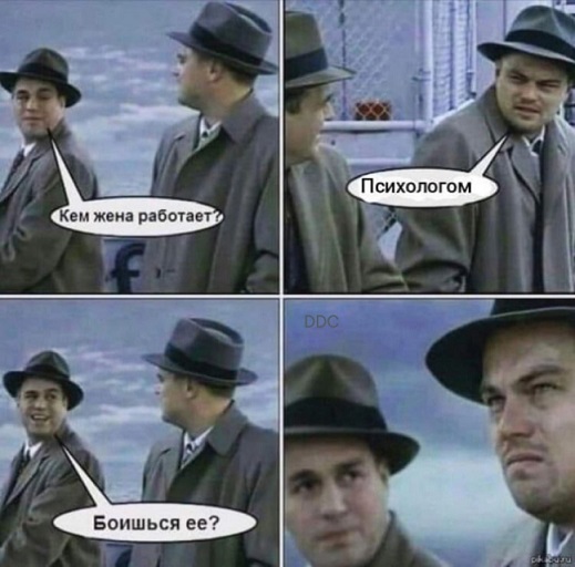 19751548.jpg