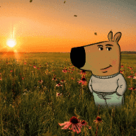 d058eaf68e-3370748890.gif