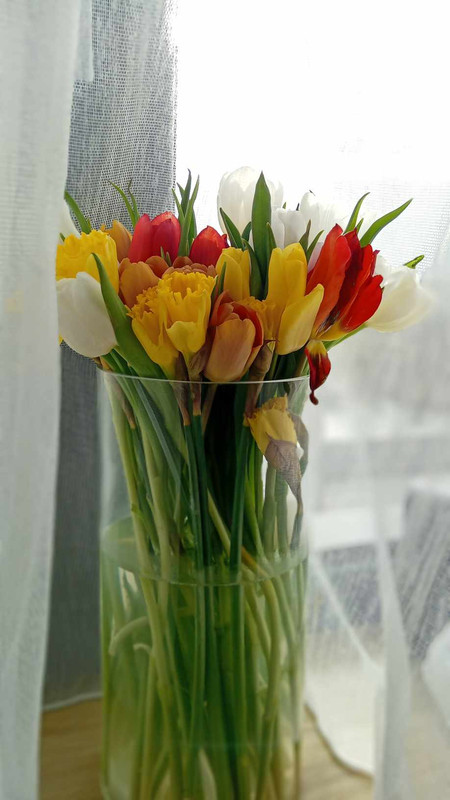 423686887_1233197934306713_8326208305734764280_n