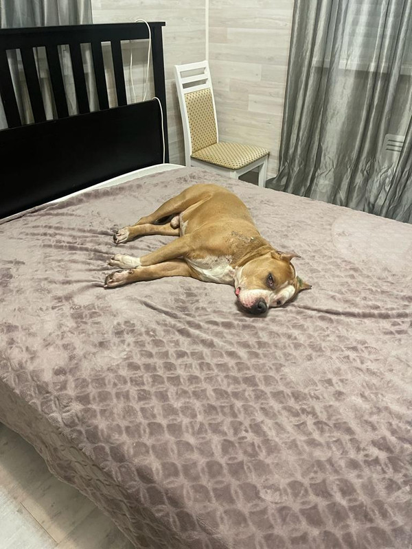 5E42D88D-3B8C-4CE2-A17B-D5F1068D3A32