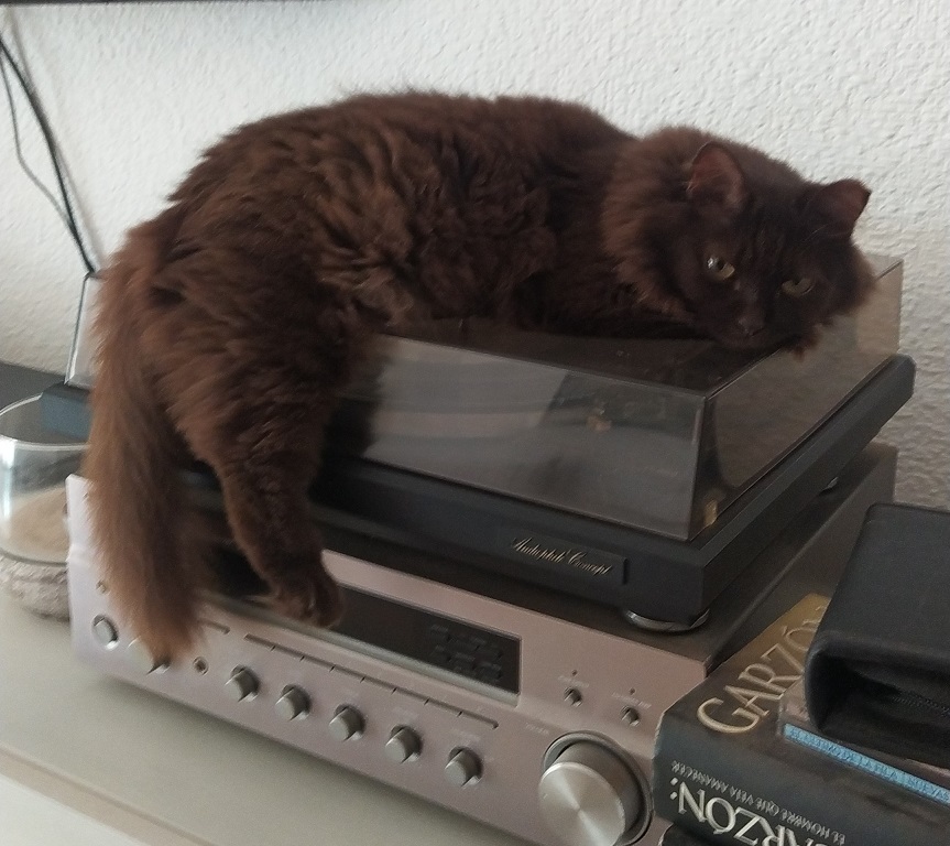 [Imagen: 1757251056094.jpg]