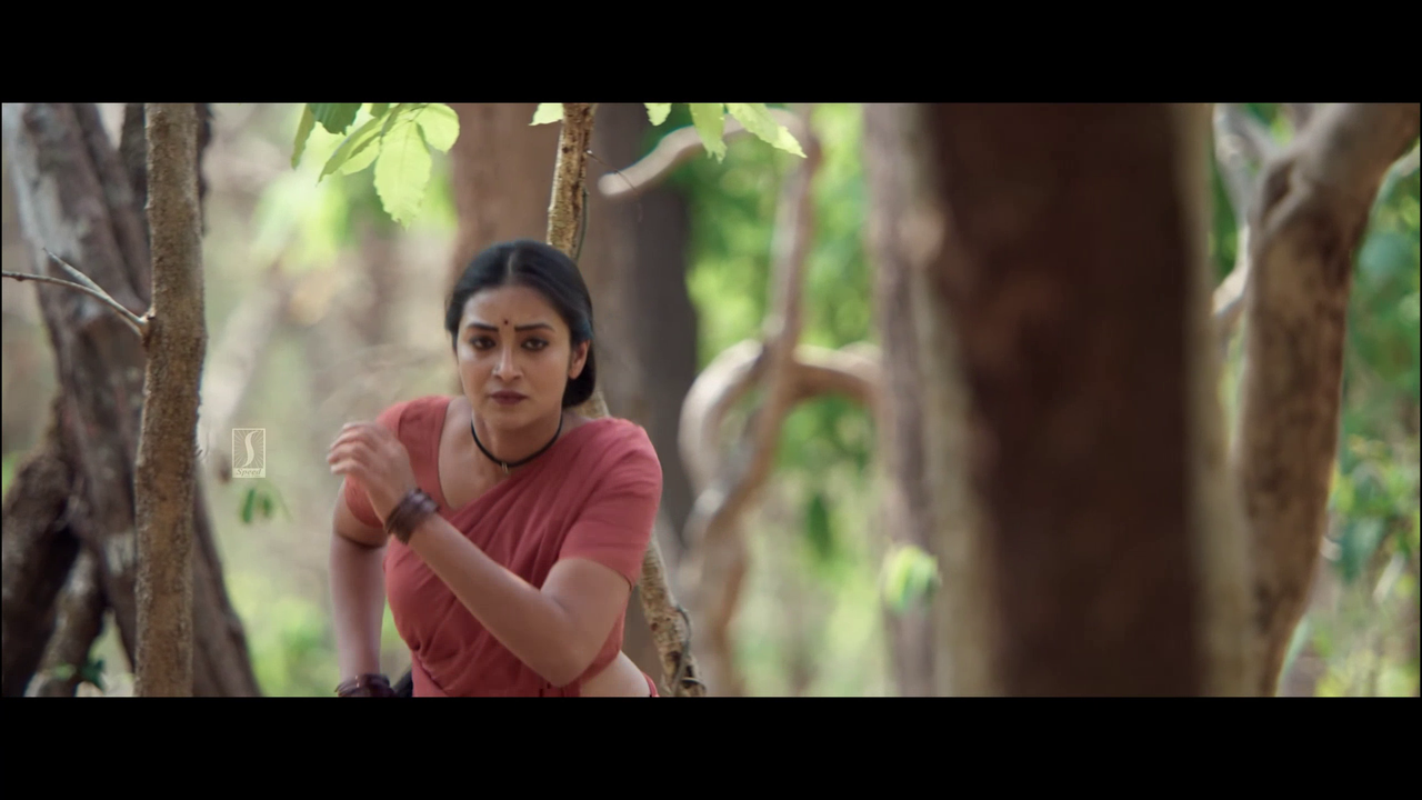 vlcsnap 2025 11 02 13h50m56s320