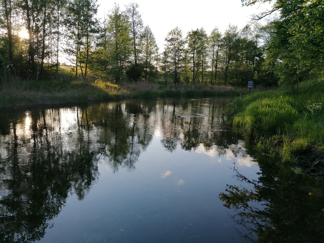 01.13 - IMG_20210530_193517 (Czesio1)